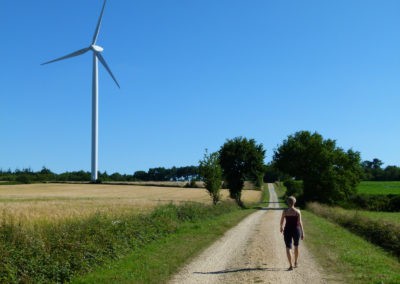 En chemin vers une des quatre éoliennes