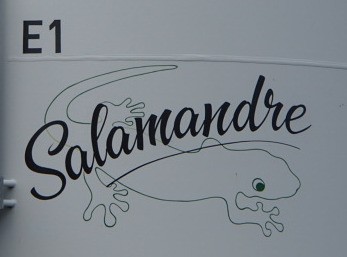 Eolienne "Salamandre"
